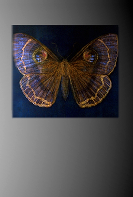 3. Erebus side-lit