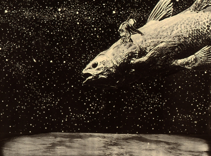 2. Coelacanth collage 27x35cm
