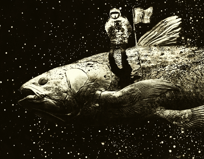3. Coelacanth collage 27x35cm