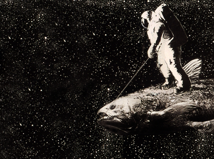 4. Colacanth collage 27x35cm