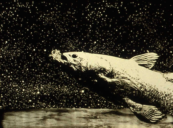 6. Coelacanth collage 27x35 cm