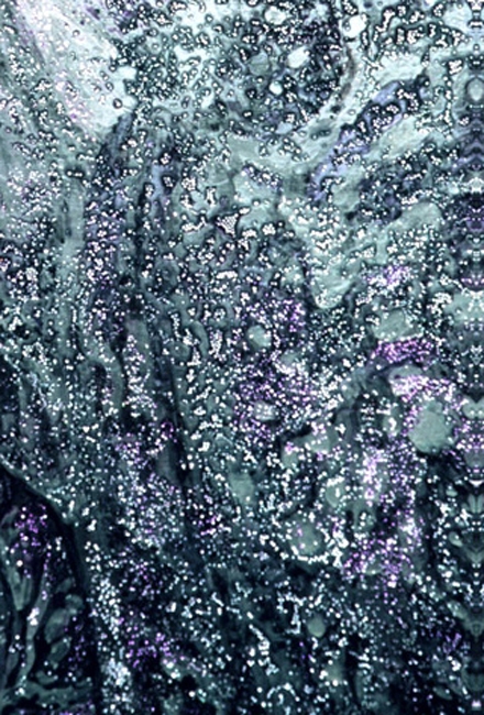 3. Sea Change detail II