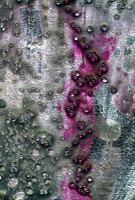 5. Sea Change, detail VI