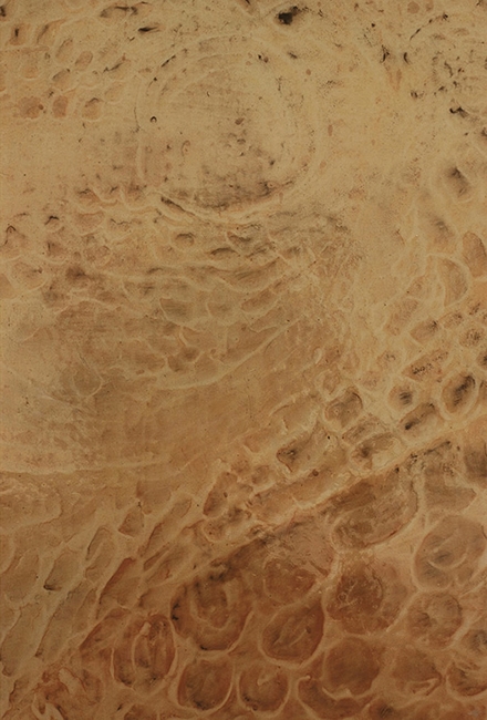 8. Diptych III left panel, detail